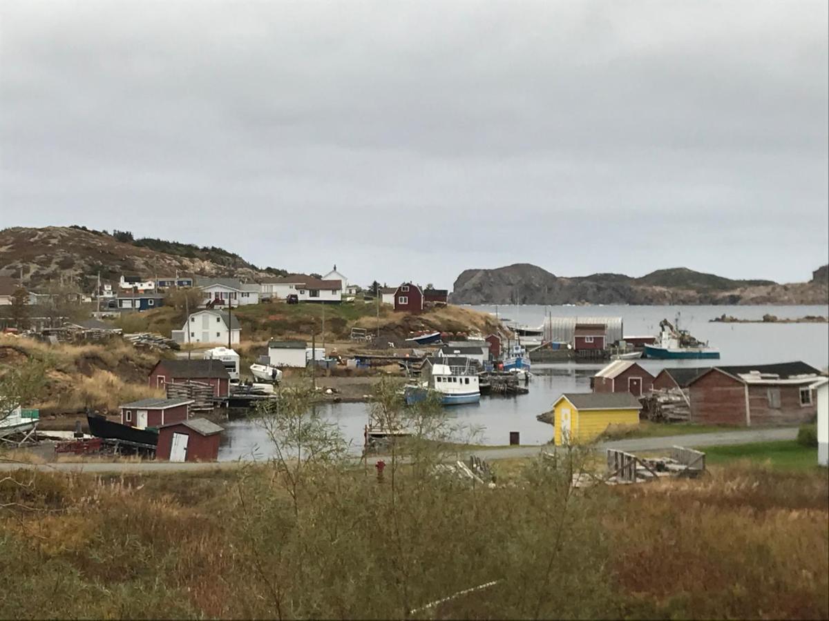 Whitsha Inn B&B Twillingate Exterior photo