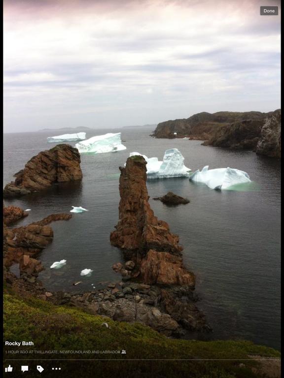 Whitsha Inn B&B Twillingate Exterior photo